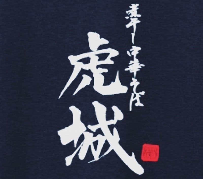 煮干し中華そば 虎城