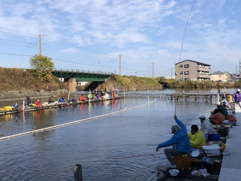 ヘラブナ釣り 佐屋川